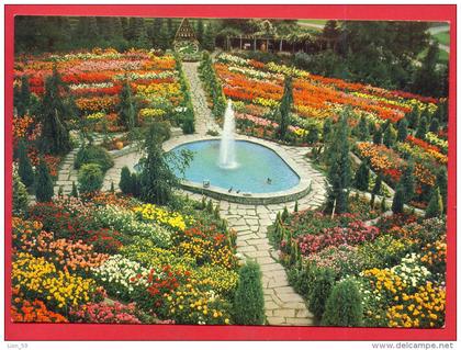 162450 / Dahlien und Herbstblumenschau M. Wieland Tamins ANDER  STRASSE CHUR-FLIMS Switzerland Suisse Schweiz Zwitserlan