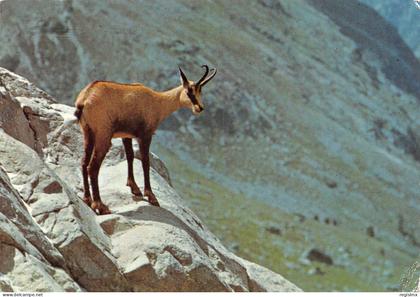 ET-SUISSE GEMSE OBLITERATION-N°TB3535-B/0241