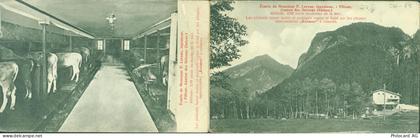 7477 Filisur KEINE AK Kuhstall Klappkarte - 13816912