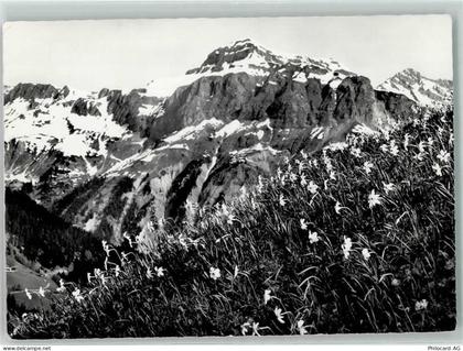 7215 Fanas - Narzissenwiese Tschungel Hornspitz - 10498913