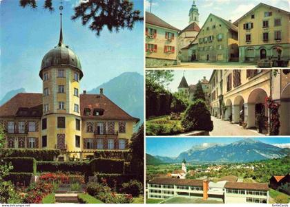 Zizers Schloss Ortspartien Panorama