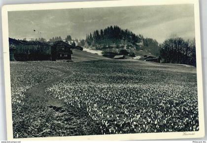 7220 Schiers - Frühling - 51314331