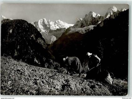 7610 Soglio - Kartoffelernte - 10593215