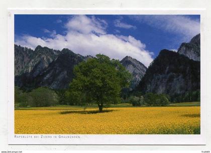 AK 054599 SWITZERLAND - Rapsblüte bei Zizers