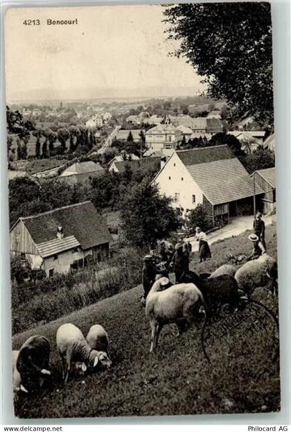 2926 Boncourt 1911 - Schafherde - 13935381