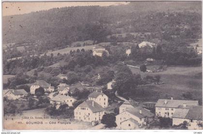 SUISSE - GOUMOIS - VUE VERS LE COTE FRANÇAIS DOUBS 25 + TIMBRE HELVETIA ET CACHET GOUMOIS