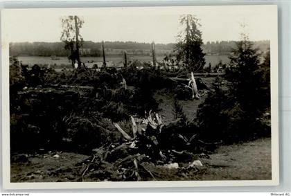 2345 Les Breuleux - Foret pres de la Vacherie des Breuleux - 13172953