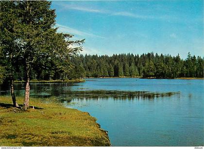 Carte Postale - Suisse - JU Jura - Etang de la Gruère - CPM - Carte Neuve - Voir Scans Recto-Verso - Poscard - Carta Pos