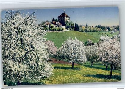 Gelfingen Schloss Heidegg