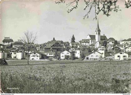Hochdorf  LU Panorama