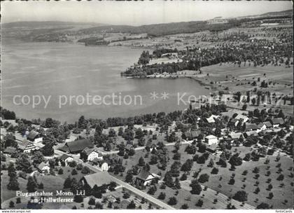 Mosen Hallwilersee Fliegeraufnahme