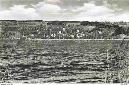 Sempach LU Sempachersee See Dorf Kirche Schilfrohr Wald Huegel