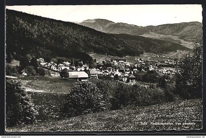 AK Fontainemelon, Vue générale