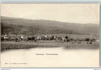 2087 Cornaux NE 1901 - 10621294