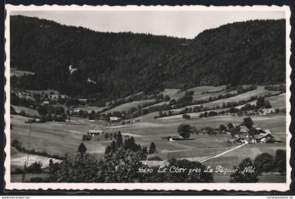 AK Le Pâquier /NE, Le Côty près Le Pâquier, Vue Générale