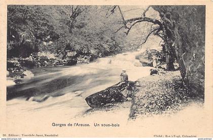 Suisse - Gorges de l'Areuse (NE) Un sous-bois - Ed. Th. Jacot 96
