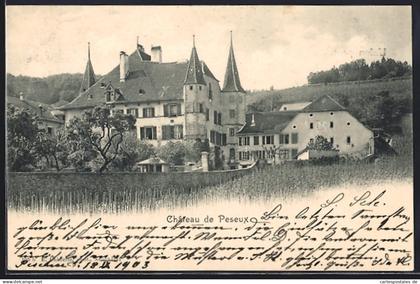 AK Peseux, Chateau de Peseux