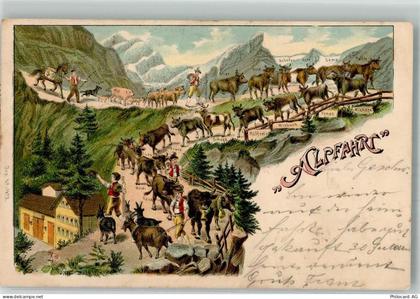 1903 Lithographie / Künstlerkarte Alpfahrt Kühe haben einen Namen - 13299418