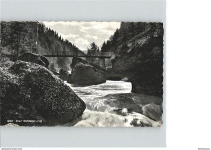 Hirzel Sihlsprung Bruecke