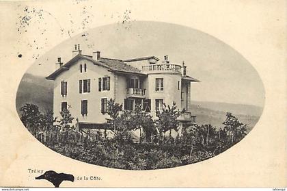 pays div-ref EE416-suisse -asile des vieillards de la cote a trelex /- a  circulé en 1919-