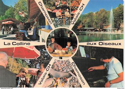 SUISSE CHAMOSON LA COLLINE AUX OISEAUX