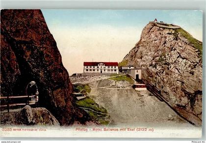 6055 Alpnach Dorf - Pilatus Hotel Bellevue mit Esel - 10392994