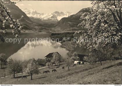 Sarnen Fruehling am Sarnersee