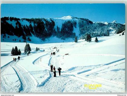 8890 Flums - Winter Langläufer Flumserberge - 39489026