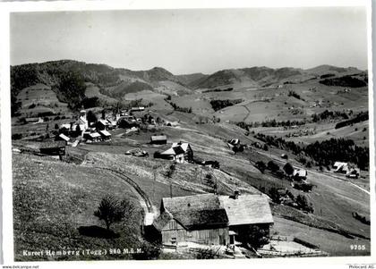 9633 Hemberg - 50796533