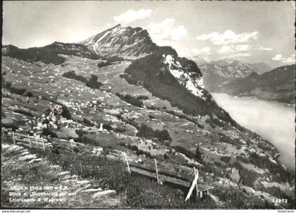 Amden SG Amden  x 1953