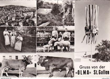 * SWITZERLAND - Gruss von der "Olma" St.Gallen 1966