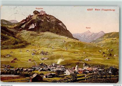 9655 Stein SG 1909 - Stein mit Goggeien und Speer - 13123204