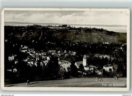 9425 Thal - Bodensee Kühe - 13114153