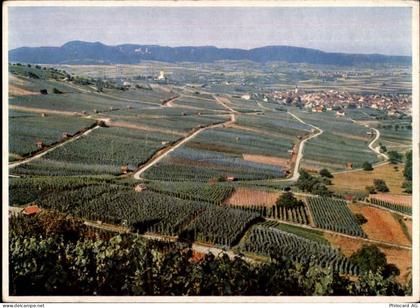 8215 Hallau - 50470470