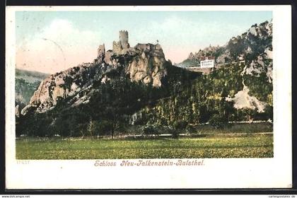 AK Balsthal, Schloss Neu-Falkenstein