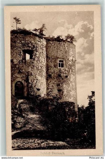 4143 Dornach - Schloss - 10625214