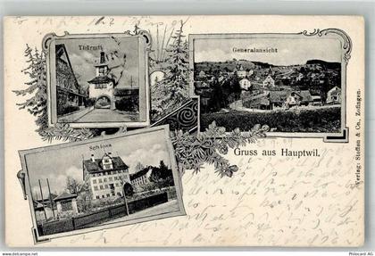 9213 Hauptwil 1909 Foto AK Schloss Türmli Bahnpost Zug 2602 - 13585812