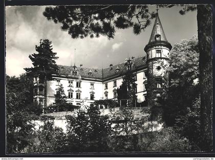 AK Hüttwilen /Thg., Kurhaus Schloss Steinegg im Sonnenschein