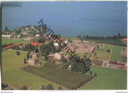 Münsterlingen am Bodensee - Verlag Foto-Gross St. Gallen