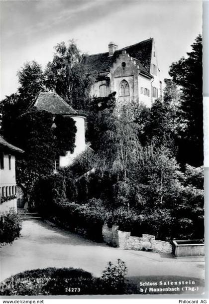 8268 Mannenbach-Salenstein - Schloss Salenstein - 50799799