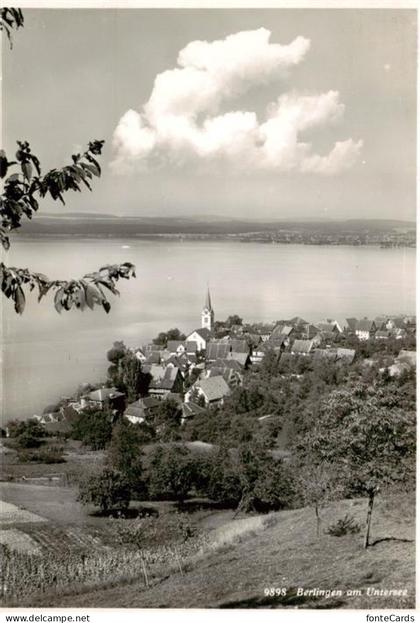 Berlingen Untersee Panorama