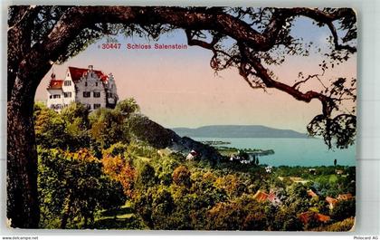 8268 Salenstein 1924 Gebrauchsspuren Schloss - 38024714