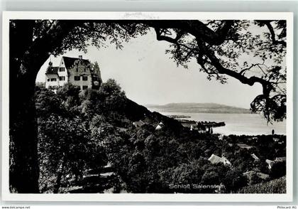 8268 Salenstein - Schloss - 10309675