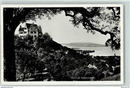 8268 Salenstein - Schloss - 10601478