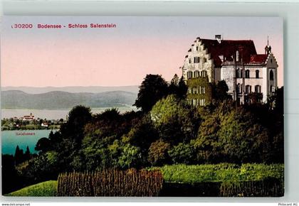 8268 Salenstein - Schloß Salenstein Insel Reichenau - 10450028