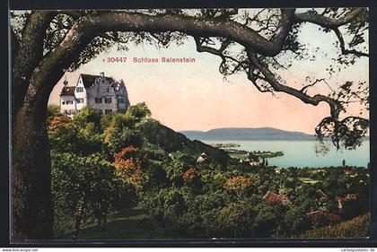 AK Salenstein, Schloss Salenstein mit Wasserblick