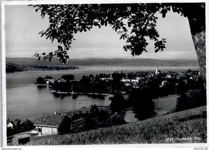 8266 Steckborn - 50773010