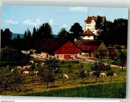 9507 Stettfurt Foto AK Schloss Sonnenberg - 38067987