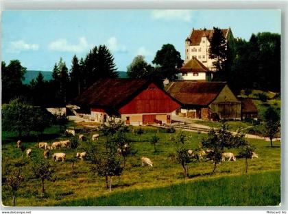 9507 Stettfurt - Kuhherde Schloss Sonnenberg - 39700782