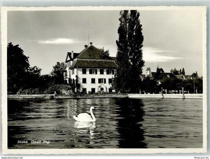 8592 Uttwil Gebrauchsspuren Schwan Foto Gross - 39701094
